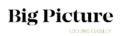 logo big picture